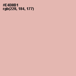 #E4B8B1 - Rose Fog Color Image
