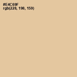 #E4C69F - Calico Color Image