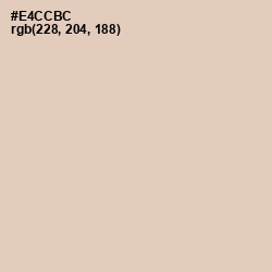 #E4CCBC - Just Right Color Image