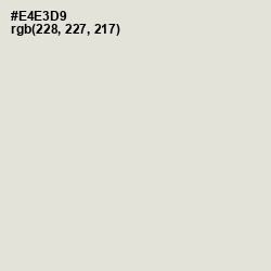 #E4E3D9 - Periglacial Blue Color Image