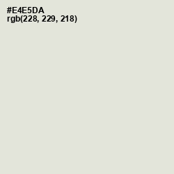 #E4E5DA - Periglacial Blue Color Image
