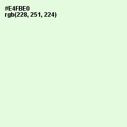 #E4FBE0 - Peppermint Color Image