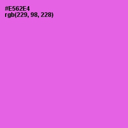 #E562E4 - Pink Flamingo Color Image