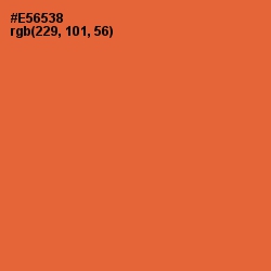 #E56538 - Outrageous Orange Color Image