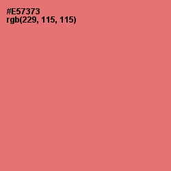 #E57373 - Sunglo Color Image
