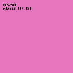#E575BF - Persian Pink Color Image
