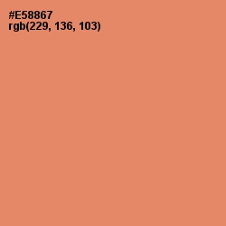 #E58867 - Apricot Color Image