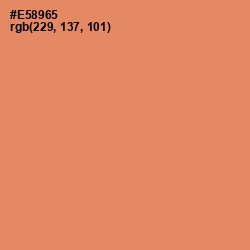 #E58965 - Apricot Color Image