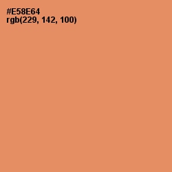 #E58E64 - Apricot Color Image