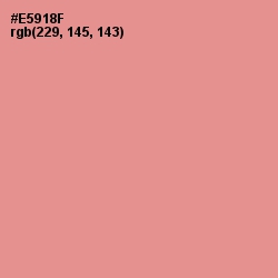 #E5918F - Tonys Pink Color Image