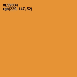 #E59334 - Fire Bush Color Image