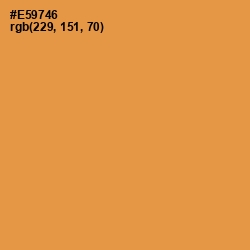 #E59746 - Tan Hide Color Image