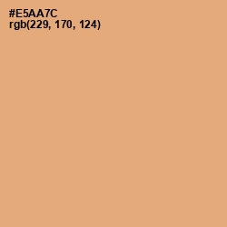 #E5AA7C - Harvest Gold Color Image