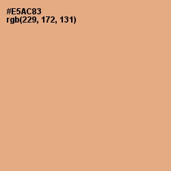#E5AC83 - Tacao Color Image