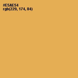 #E5AE54 - Anzac Color Image