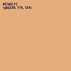 #E5AE7C - Harvest Gold Color Image