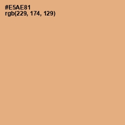 #E5AE81 - Tacao Color Image