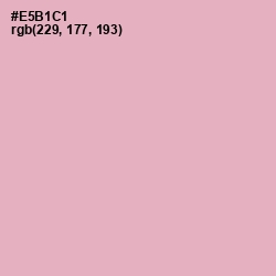 #E5B1C1 - Illusion Color Image