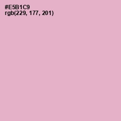 #E5B1C9 - Illusion Color Image