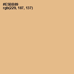 #E5BB89 - Gold Sand Color Image