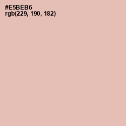 #E5BEB6 - Rose Fog Color Image