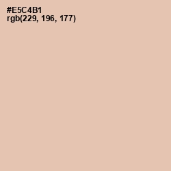 #E5C4B1 - Just Right Color Image