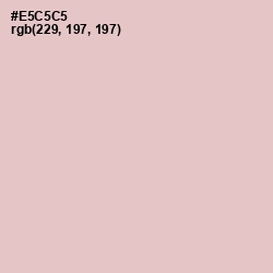 #E5C5C5 - Pink Flare Color Image
