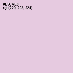 #E5CAE0 - French Lilac Color Image