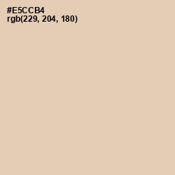 #E5CCB4 - Just Right Color Image