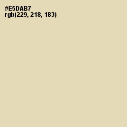 #E5DAB7 - Double Spanish White Color Image