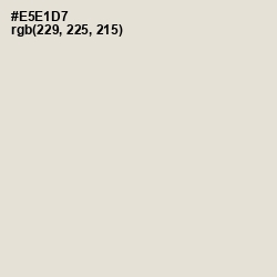 #E5E1D7 - Satin Linen Color Image
