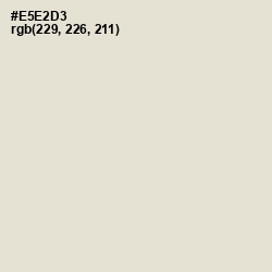 #E5E2D3 - Satin Linen Color Image