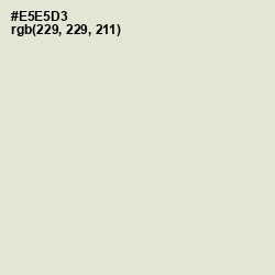 #E5E5D3 - Satin Linen Color Image