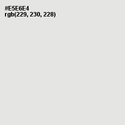 #E5E6E4 - Mercury Color Image