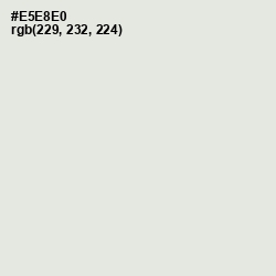 #E5E8E0 - Gray Nurse Color Image