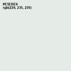 #E5EBE6 - Gray Nurse Color Image