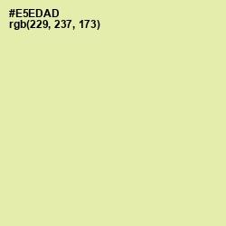 #E5EDAD - Double Colonial White Color Image