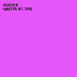 #E657FA - Heliotrope Color Image