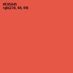 #E65845 - Sunset Orange Color Image