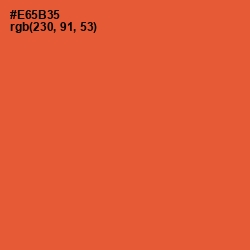 #E65B35 - Flamingo Color Image