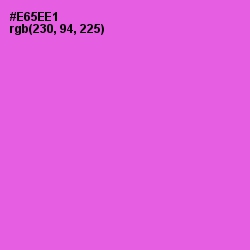 #E65EE1 - Orchid Color Image