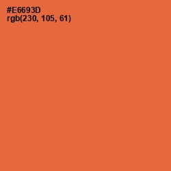 #E6693D - Outrageous Orange Color Image