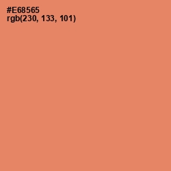 #E68565 - Apricot Color Image