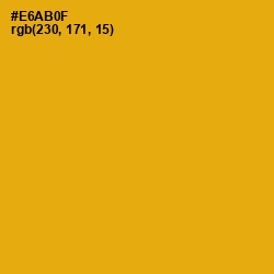 #E6AB0F - Buttercup Color Image