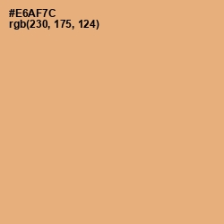 #E6AF7C - Harvest Gold Color Image