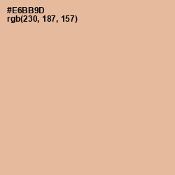 #E6BB9D - Gold Sand Color Image
