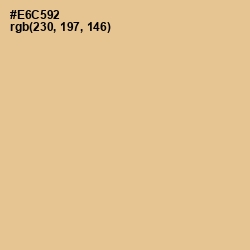 #E6C592 - Calico Color Image