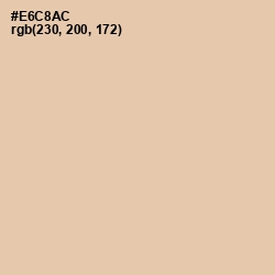 #E6C8AC - Desert Sand Color Image
