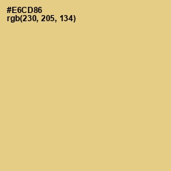#E6CD86 - Putty Color Image