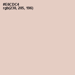 #E6CDC4 - Dust Storm Color Image